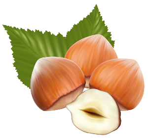 hazelnuts